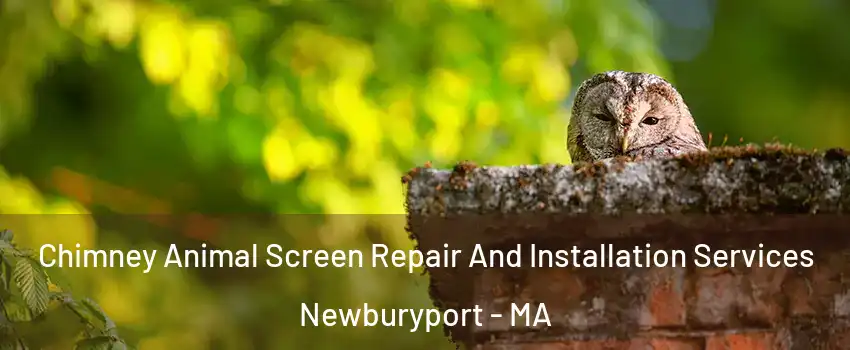  Chimney Animal Screen Repair And Installation Services Newburyport - MA