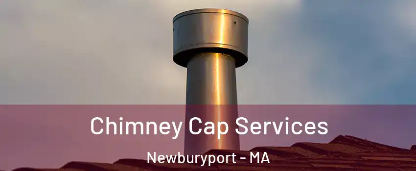  Chimney Cap Services Newburyport - MA