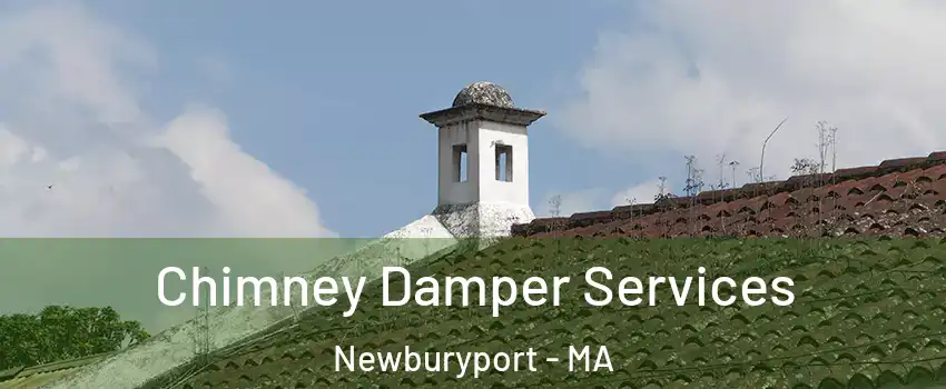  Chimney Damper Services Newburyport - MA