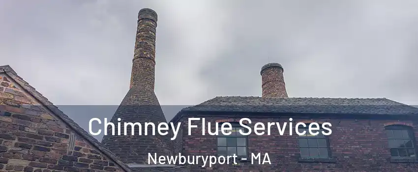  Chimney Flue Services Newburyport - MA