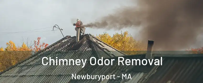  Chimney Odor Removal Newburyport - MA
