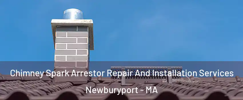  Chimney Spark Arrestor Repair And Installation Services Newburyport - MA