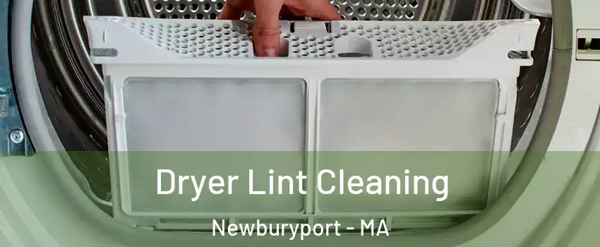  Dryer Lint Cleaning Newburyport - MA