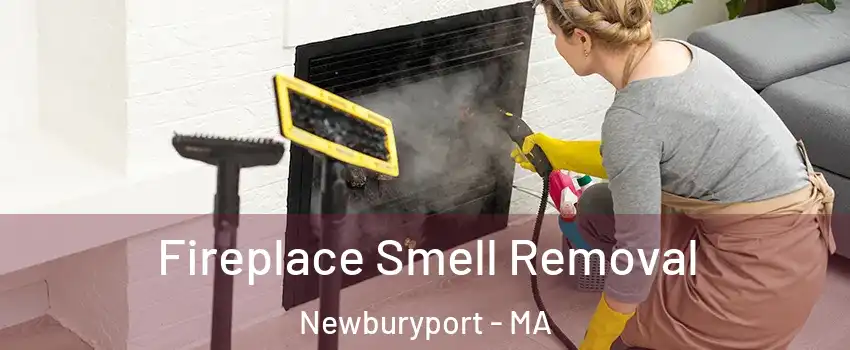  Fireplace Smell Removal Newburyport - MA