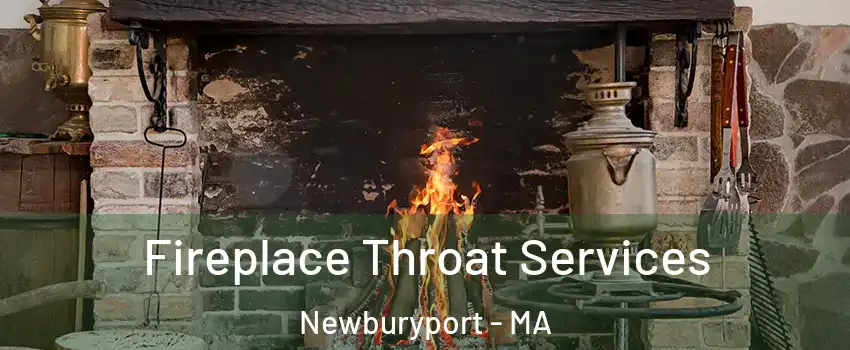 Fireplace Throat Services Newburyport - MA