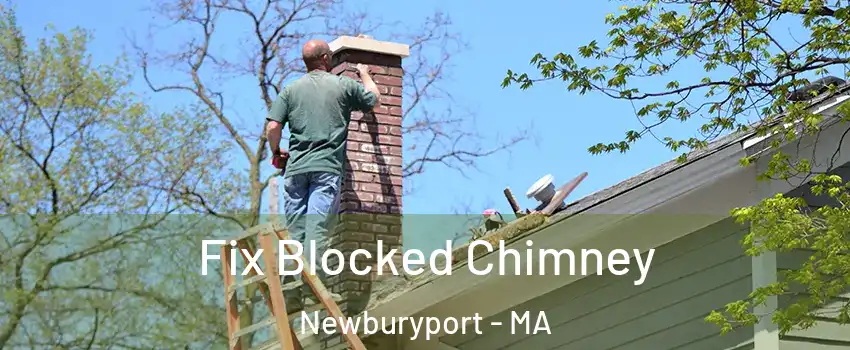  Fix Blocked Chimney Newburyport - MA