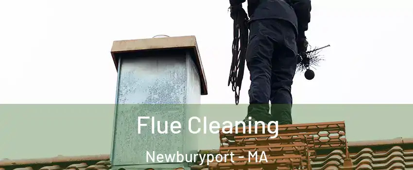  Flue Cleaning Newburyport - MA