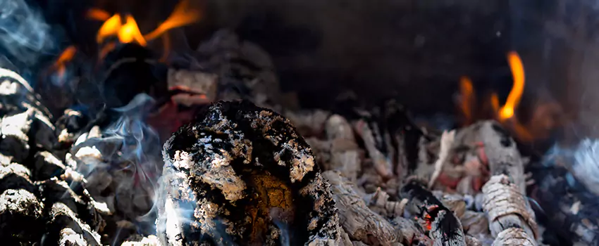 Creosote Removal Experts in Newburyport, MA