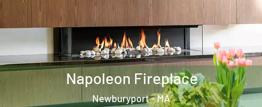  Napoleon Fireplace Newburyport - MA